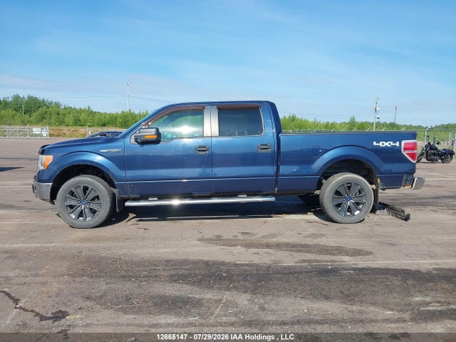Продажа на аукционе авто 2013 Ford F-150 Xlt, vin: 1FTFW1EF2DFD58571, номер лота: 12665147