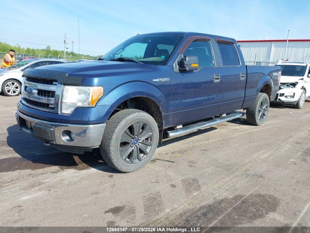 Продажа на аукционе авто 2013 Ford F-150 Xlt, vin: 1FTFW1EF2DFD58571, номер лота: 12665147