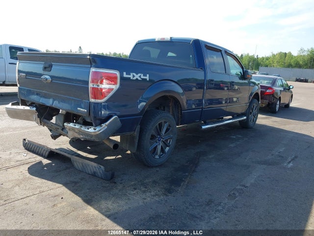 Продажа на аукционе авто 2013 Ford F-150 Xlt, vin: 1FTFW1EF2DFD58571, номер лота: 12665147