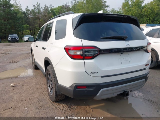 2025 Honda Pilot Trailsport მანქანა იყიდება აუქციონზე, vin: 5FNYG1H64SB503399, აუქციონის ნომერი: 12665161
