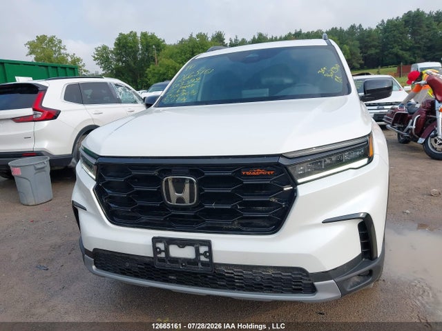 2025 Honda Pilot Trailsport მანქანა იყიდება აუქციონზე, vin: 5FNYG1H64SB503399, აუქციონის ნომერი: 12665161