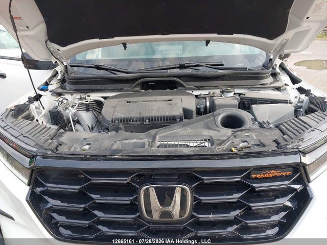 2025 Honda Pilot Trailsport მანქანა იყიდება აუქციონზე, vin: 5FNYG1H64SB503399, აუქციონის ნომერი: 12665161