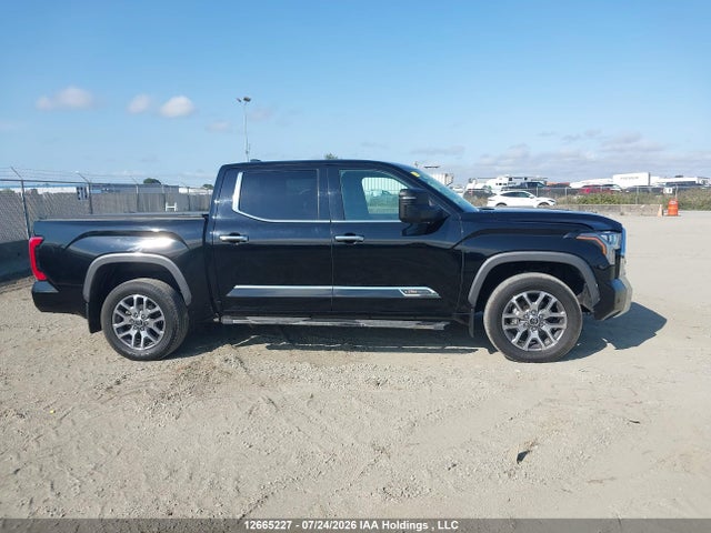 5TFMA5DBXPX123426 Toyota Tundra Crewmax Platinum/crewmax 1794