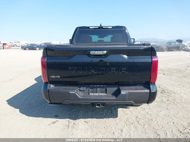 5TFMA5DBXPX123426 Toyota Tundra Crewmax Platinum/crewmax 1794