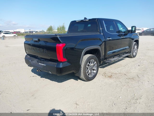 5TFMA5DBXPX123426 Toyota Tundra Crewmax Platinum/crewmax 1794
