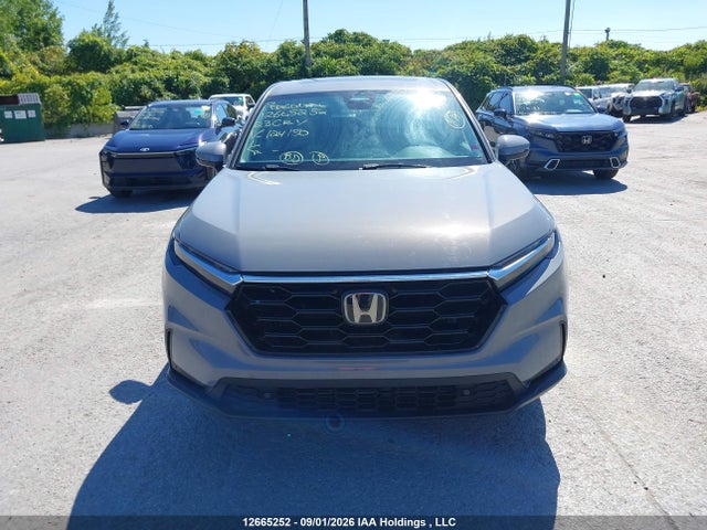 2023 Honda Cr-v Exl მანქანა იყიდება აუქციონზე, vin: 2HKRS4H72PH124150, აუქციონის ნომერი: 12665252
