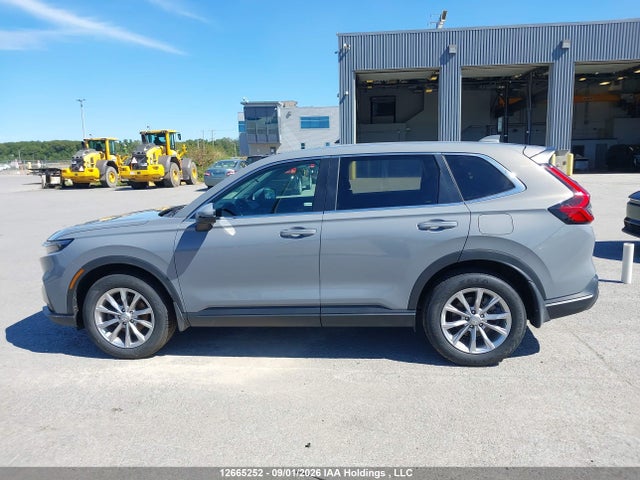 2023 Honda Cr-v Exl მანქანა იყიდება აუქციონზე, vin: 2HKRS4H72PH124150, აუქციონის ნომერი: 12665252