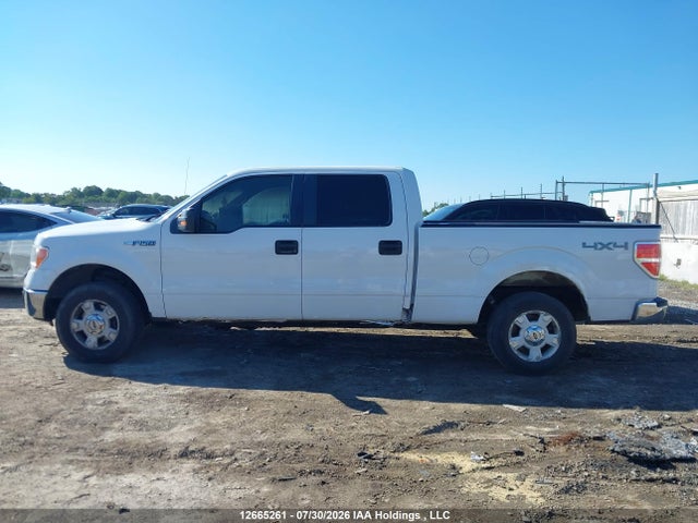 Ford F150 Supercrew 2014 1FTFW1EF0EFC53609 Image 13