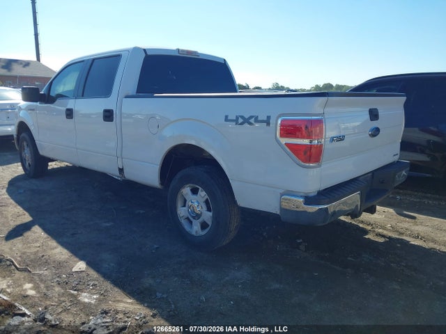 Ford F150 Supercrew 2014 1FTFW1EF0EFC53609 Image 3