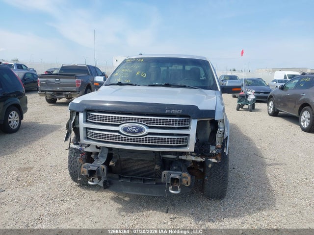 2012 Ford F-150 Fx4/king Ranch/lariat/platinum/xlt მანქანა იყიდება აუქციონზე, vin: 1FTFW1ETXCFC44774, აუქციონის ნომერი: 12665364