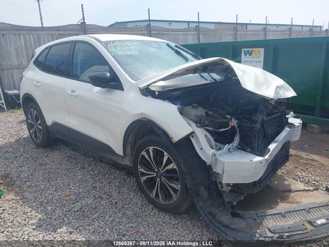 12665367 :رقم المزاد ، 1FMCU9G62MUA60792 vin ، 2021 Ford Escape Se مزاد بيع