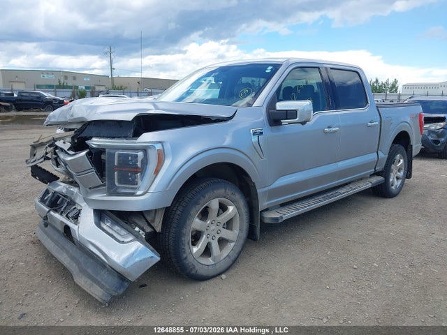 1FTFW1E8XMFB11378 Ford F-150 King Ranch/lariat/limited/platinum/tremor/xl/xlt