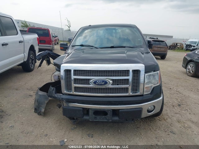 12652323 :رقم المزاد ، 1FTFW1EF2BFB74003 vin ، 2011 Ford F-150 Lariat مزاد بيع