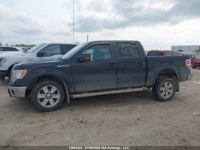 12652323 :رقم المزاد ، 1FTFW1EF2BFB74003 vin ، 2011 Ford F-150 Lariat مزاد بيع