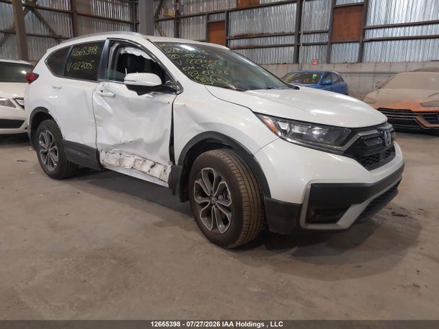2020 2HKRW2H8XLH227005 главное изображение