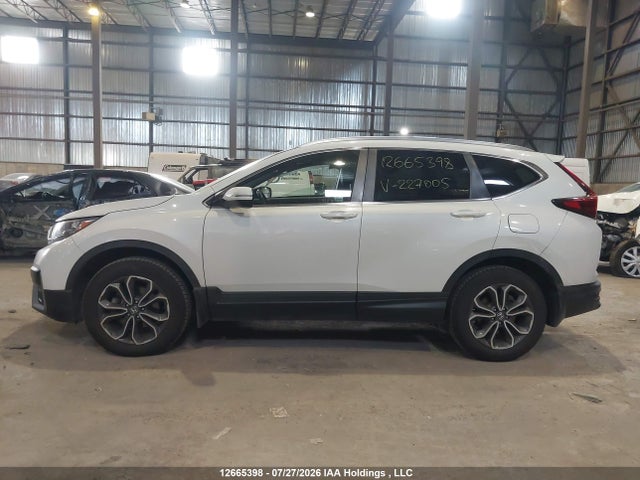 2HKRW2H8XLH227005 Honda CR-V EXL
