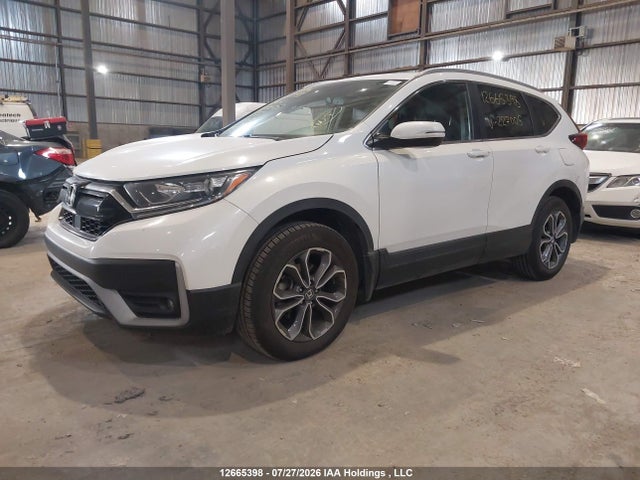 2HKRW2H8XLH227005 Honda CR-V EXL