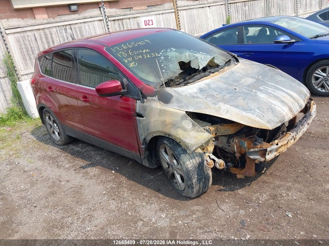 12665409 :رقم المزاد ، 1FMCU0GX4DUD43232 vin ، 2013 Ford Escape مزاد بيع