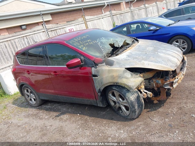 12665409 :رقم المزاد ، 1FMCU0GX4DUD43232 vin ، 2013 Ford Escape مزاد بيع