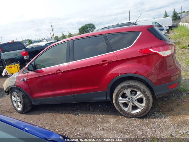 12665409 :رقم المزاد ، 1FMCU0GX4DUD43232 vin ، 2013 Ford Escape مزاد بيع