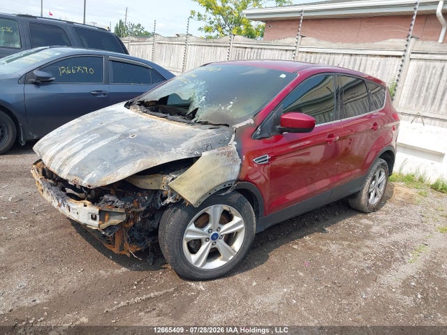 12665409 :رقم المزاد ، 1FMCU0GX4DUD43232 vin ، 2013 Ford Escape مزاد بيع