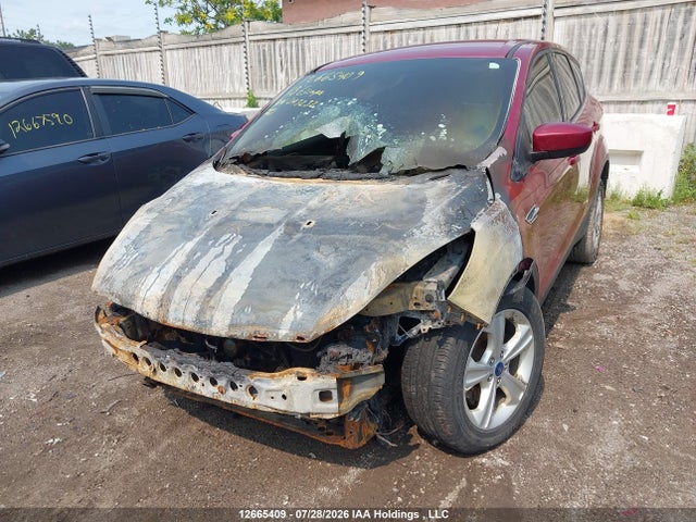 12665409 :رقم المزاد ، 1FMCU0GX4DUD43232 vin ، 2013 Ford Escape مزاد بيع
