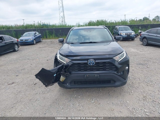2T3RWRFV1KW004523 Toyota Rav4 Hybrid Xle