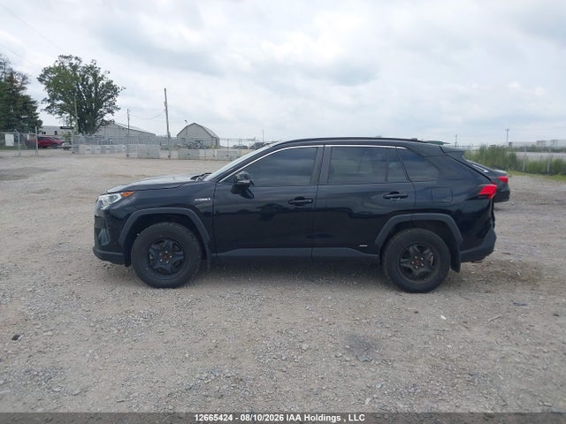 2T3RWRFV1KW004523 Toyota Rav4 Hybrid Xle