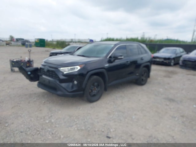 2T3RWRFV1KW004523 Toyota Rav4 Hybrid Xle