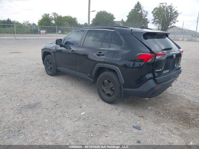 2T3RWRFV1KW004523 Toyota Rav4 Hybrid Xle