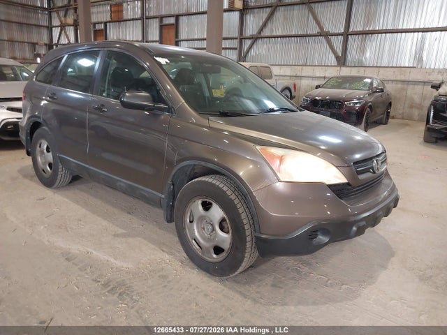 Продаж на аукціоні авто 2009 Honda Cr-v, vin: 5J6RE48379L813291, номер лоту: 12665433