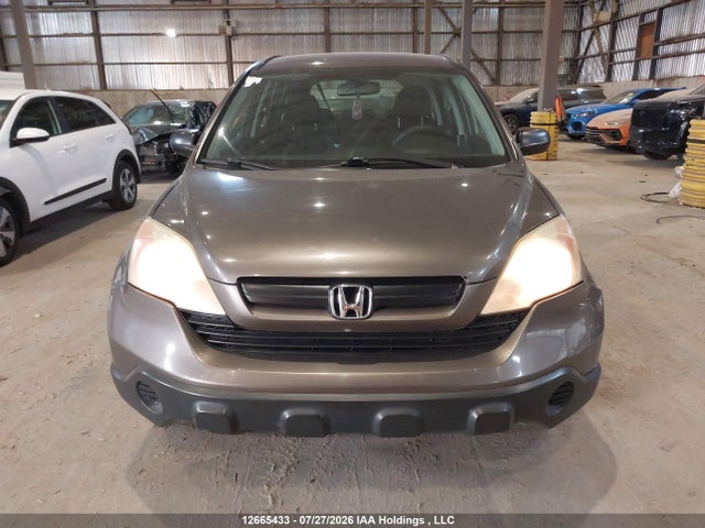 Продаж на аукціоні авто 2009 Honda Cr-v, vin: 5J6RE48379L813291, номер лоту: 12665433