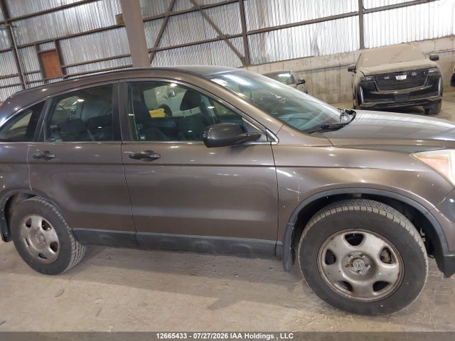 Продаж на аукціоні авто 2009 Honda Cr-v, vin: 5J6RE48379L813291, номер лоту: 12665433