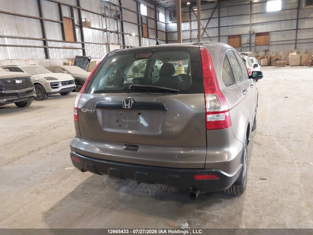 Продаж на аукціоні авто 2009 Honda Cr-v, vin: 5J6RE48379L813291, номер лоту: 12665433