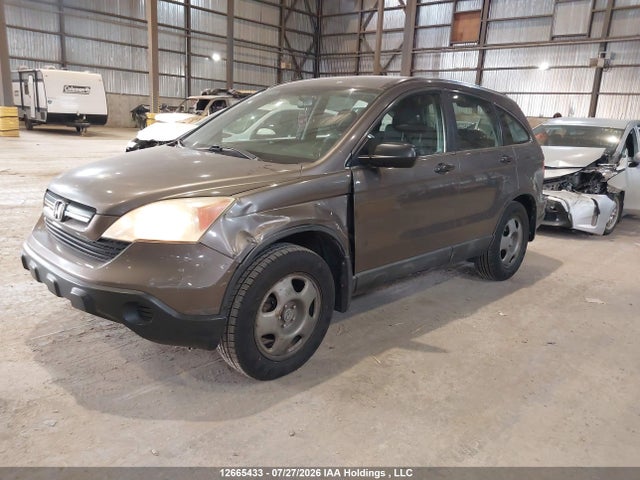 Продаж на аукціоні авто 2009 Honda Cr-v, vin: 5J6RE48379L813291, номер лоту: 12665433