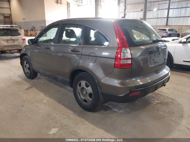 Продаж на аукціоні авто 2009 Honda Cr-v, vin: 5J6RE48379L813291, номер лоту: 12665433