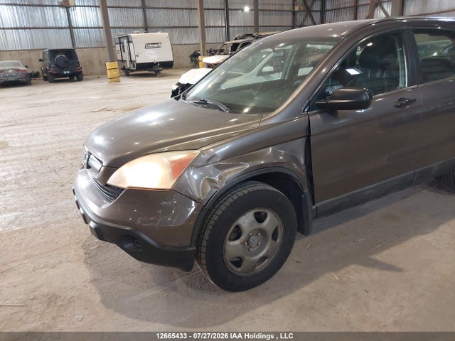 Продаж на аукціоні авто 2009 Honda Cr-v, vin: 5J6RE48379L813291, номер лоту: 12665433