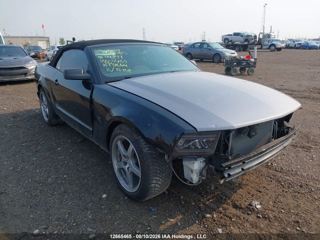 12665465 :رقم المزاد ، 1ZVHT85H295114277 vin ، 2009 Ford Mustang Gt مزاد بيع