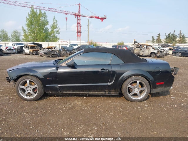 12665465 :رقم المزاد ، 1ZVHT85H295114277 vin ، 2009 Ford Mustang Gt مزاد بيع