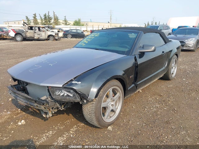 12665465 :رقم المزاد ، 1ZVHT85H295114277 vin ، 2009 Ford Mustang Gt مزاد بيع