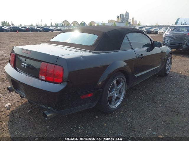 12665465 :رقم المزاد ، 1ZVHT85H295114277 vin ، 2009 Ford Mustang Gt مزاد بيع