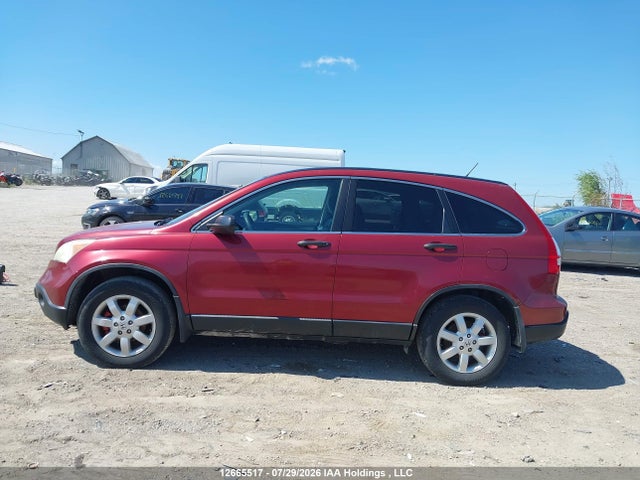 Aukcja sprzedaży 2007 Honda Cr-v Ex, vin: 5J6RE48597L803800, numer aukcji: 12665517