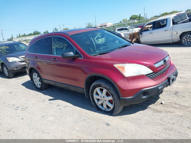 Aukcja sprzedaży 2007 Honda Cr-v Ex, vin: 5J6RE48597L803800, numer aukcji: 12665517