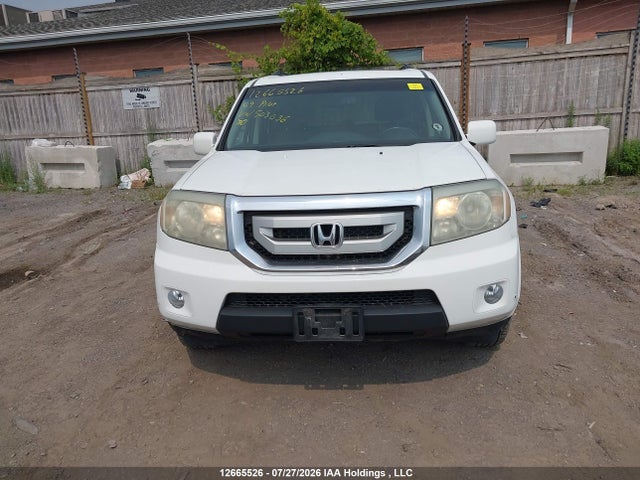 2009 Honda Pilot Touring მანქანა იყიდება აუქციონზე, vin: 5FNYF48909B503036, აუქციონის ნომერი: 12665526