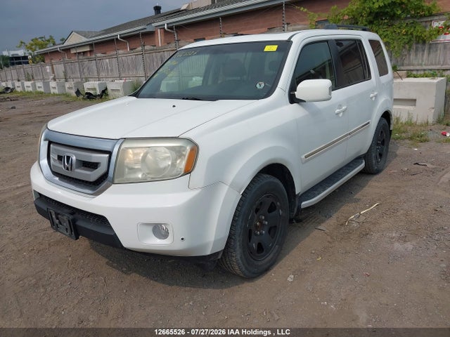 2009 Honda Pilot Touring მანქანა იყიდება აუქციონზე, vin: 5FNYF48909B503036, აუქციონის ნომერი: 12665526