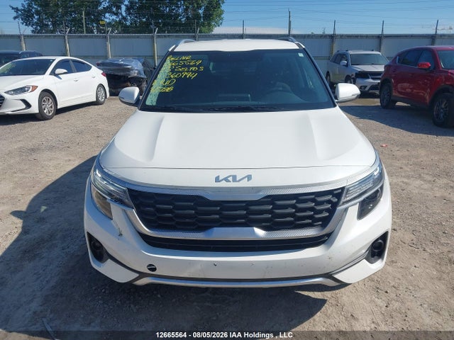 Продаж на аукціоні авто 2023 Kia Seltos, vin: KNDEPCAA0P7360994, номер лоту: 12665564