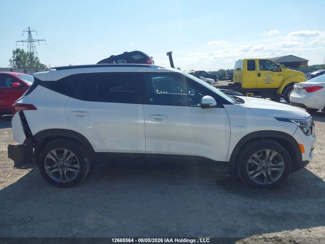 Продаж на аукціоні авто 2023 Kia Seltos, vin: KNDEPCAA0P7360994, номер лоту: 12665564