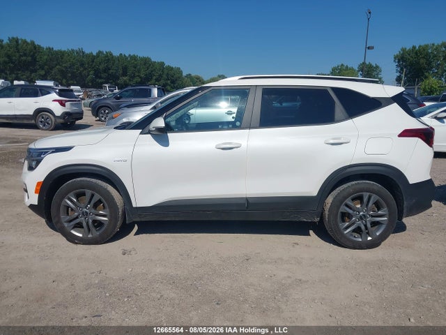 Продаж на аукціоні авто 2023 Kia Seltos, vin: KNDEPCAA0P7360994, номер лоту: 12665564