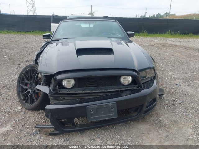 Продажа на аукционе авто 2014 Ford Mustang, vin: 1ZVBP8EM4E5300601, номер лота: 12665577