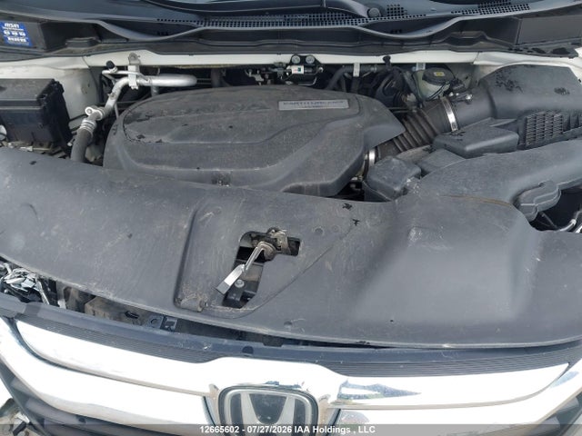 12665602 :رقم المزاد ، 5FNRL6H62KB511871 vin ، 2019 Honda Odyssey Exl مزاد بيع